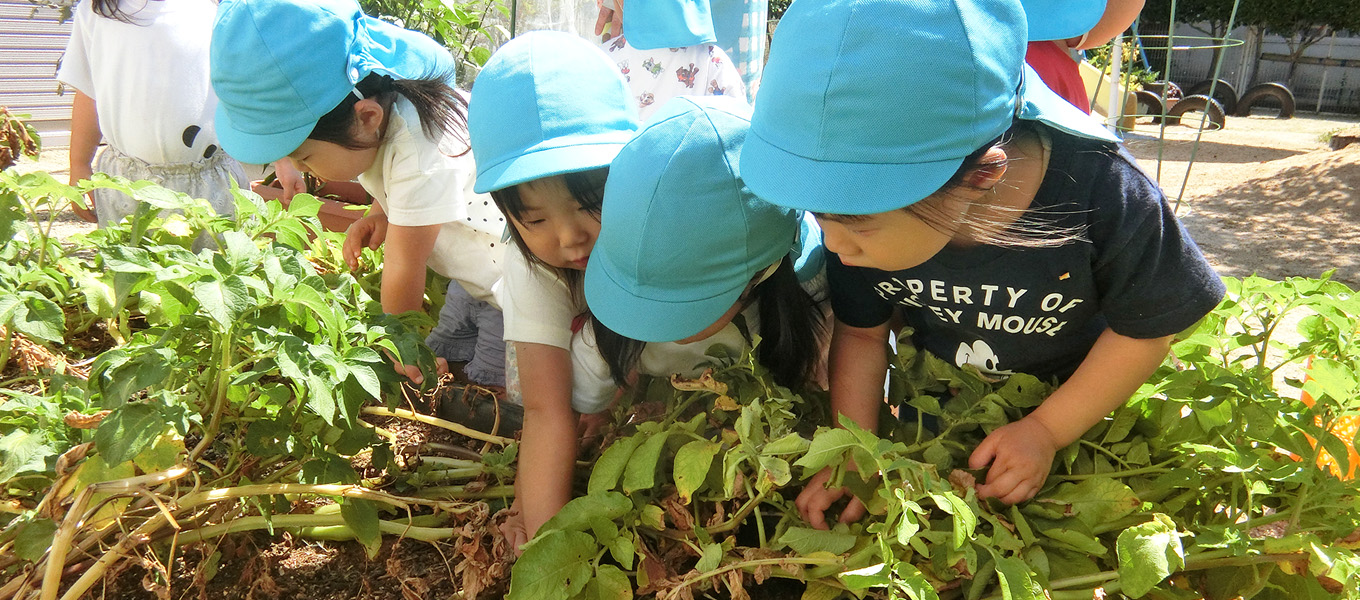 子供の館保育園 写真2